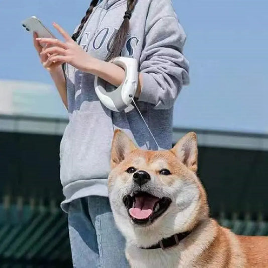 Dog LED Night Lighting Automatic Retractable Leash Nine_panda_store